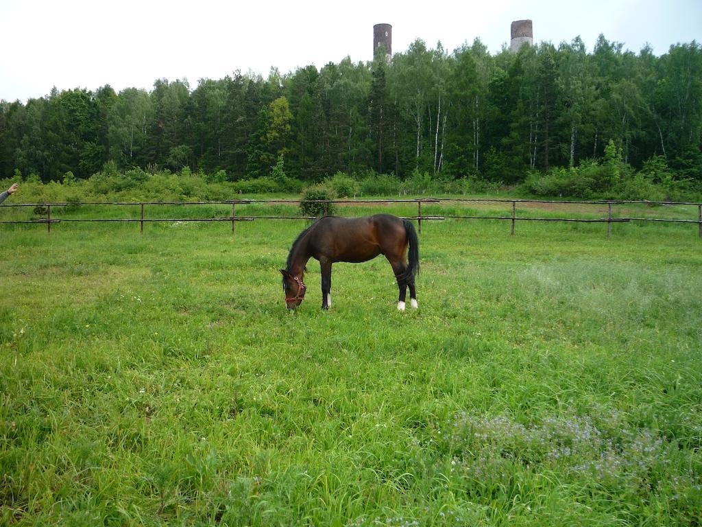 Farm stay Pod Rumakiem *